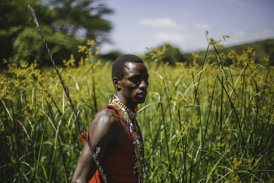 A young Maasai man stands in tall grass